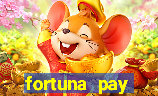 fortuna pay consultoria financeira ltda